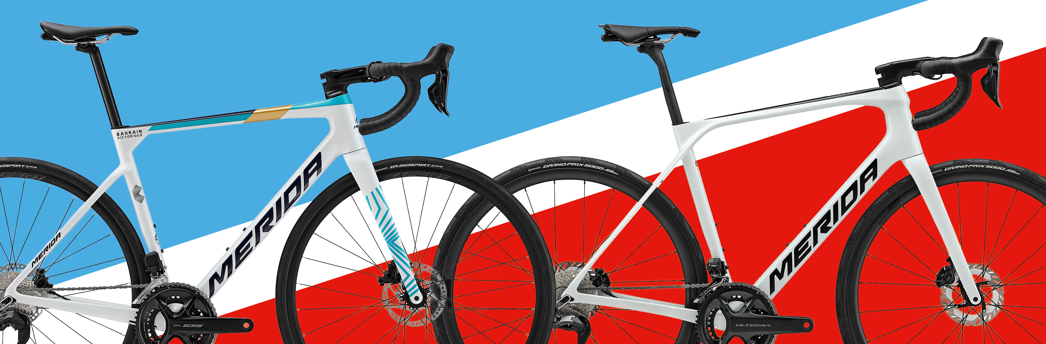 Eng Rennrad Road bike or endurance bike? – ape-zero.com