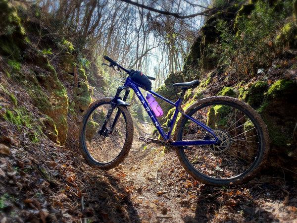 Hardtail oder Gravel Bike?