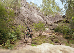 Hardtail