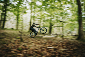 Hardtail