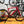 Merida Scultura Endurance 6000 race red